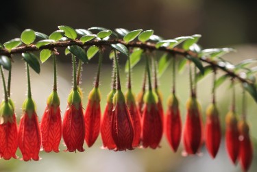 佛山顺德私人快速借钱网，轻松解决资金难题