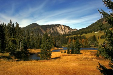 佛山顺德民间私贷攻略：揭秘低成本借贷的秘密